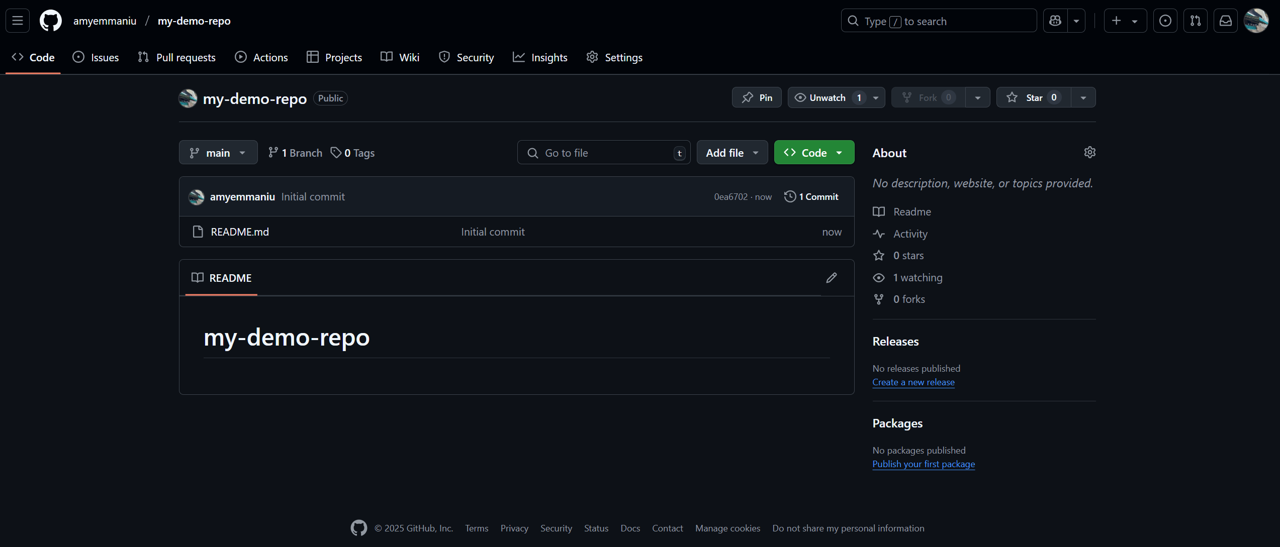 Example GitHub repository